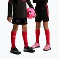 Kinder-Fußballshorts Nike Paris Saint-Germain Strike black/hyper royal/global red/global red