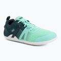 Damen Barfußschuhe Xero Shoes Prio Neo sea moss