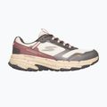 Damen-Schuhe SKECHERS Go Run Trail Altitude 2.0 Ravine beige 2