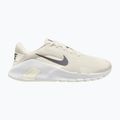 Herren Trainingsschuhe Nike Flex Train phantom/white/sail/pencil point