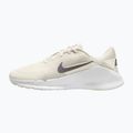 Herren Trainingsschuhe Nike Flex Train phantom/white/sail/pencil point 2