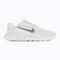 Herren Trainingsschuhe Nike Flex Train phantom/white/sail/pencil point 2