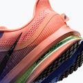Herren-Laufschuhe Nike Pegasus Premium racer blue/atomic pink/volt tint/black 8