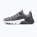 Herren Trainingsschuhe Nike Free Metcon 7 pencil point/medium ash/white 2