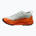 Herren-Laufschuhe Nike ACG Zegama Trail GORE-TEX light silver/safety orange/summit white 2