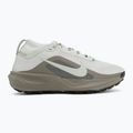 Laufschuhe für Damen Nike ACG Pegasus Trail GORE-TEX Light Silver/Light Army/Light Silver 2