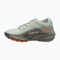 Laufschuhe für Damen Nike ACG Pegasus Trail GORE-TEX Light Silver/Light Army/Light Silver 2