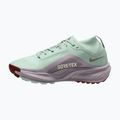 Laufschuhe für Damen Nike ACG Pegasus Trail GORE-TEX Barely Green/Silver Lilac/Light Bone 2