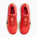 Herren-Laufschuhe Nike ACG Pegasus Trail GORE-TEX Light Crimson/Linen/Black 5