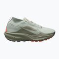 Herren-Laufschuhe Nike ACG Pegasus Trail GORE-TEX Light Silver/Light Army/Light Silver