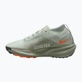 Herren-Laufschuhe Nike ACG Pegasus Trail GORE-TEX Light Silver/Light Army/Light Silver 2