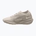 Herren-Laufschuhe Nike ACG Pegasus Trail GORE-TEX Cream Ii/Light Orewood Brown 2