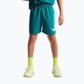 Kindershorts Nike Multi Refresh bright spruce