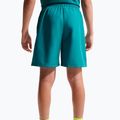 Kindershorts Nike Multi Refresh bright spruce 5