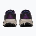 Herren-Laufschuhe ACG Pegasus Trail gridiron/racer blue/cream li 2
