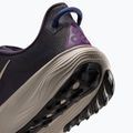 Herren-Laufschuhe ACG Pegasus Trail gridiron/racer blue/cream li 6