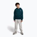 Kinder-Sweatshirt New Balance Brush Back Small Logo Hoodie medusa green 2