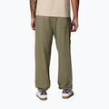 Herren-Trekkinghose Columbia Landroamer Scout stone green 3