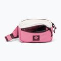Bauchtasche Columbia Trail Traveler Hip sea salt/rosette/moonvista 3