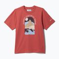 Kinder T-Shirt Columbia Valley Creek II Graphic washed red/cozy coastline