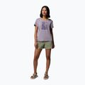 Damen T-Shirt Columbia Parsons Point Scoop Tee lavender pearl heather/canopy view 2