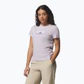 Damen T-Shirt Columbia Ruby Springs Graphic Fitted lavender pearl/brandrise