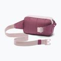 Bauchtasche Columbia Trail Traveler Hip 2 l mineral pink/antique mauve 2