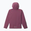 Kinder-Softshelljacke Columbia Ascender Hooded Softshell antique mauve 2