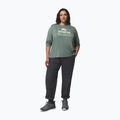 Damen-Longsleeve Columbia Parsons Point LS Graphic Tee sedona sage heather/all terrain 2