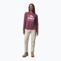 Damen-Longsleeve Columbia Parsons Point LS Graphic Tee antique mauve heather/all terrain 2