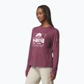 Damen-Longsleeve Columbia Parsons Point LS Graphic Tee antique mauve heather/all terrain 4
