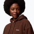 Fleecejacke für Damen Columbia Timber Meadow MTR Fleece Hoodie tobacco 6