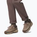 Damen-Trekkingschuhe Columbia Newton Alpine Low oxford tan/foxglove 6