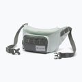 Bauchtasche Columbia Zigzag II Hip Pack 1 l sedona sage/tea light