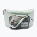 Bauchtasche Columbia Zigzag II Hip Pack 1 l sedona sage/tea light 4