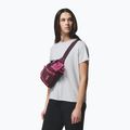 Bauchtasche Columbia Echo Mountain Hip moonvista/nico 8