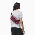 Bauchtasche Columbia Echo Mountain Hip moonvista/nico 9
