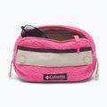 Bauchtasche Columbia Helvetia II Hip Pack 1 l nico/dark stone 3