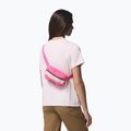 Bauchtasche Columbia Helvetia II Hip Pack 1 l nico/dark stone 6