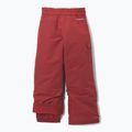Kinder-Skihose Columbia Bugaboo IV red oxide 2