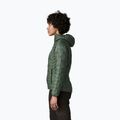Gefütterte Damenjacke Patagonia Micro Puff Hoody canopy green 3