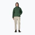 Damen-Daunenjacke Patagonia Sisar Down Hoody canopy green 2