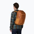 Cityrucksack Patagonia Black Hole Pack 32 l cinnamon brown 2