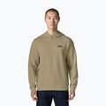 Herrenpullover Patagonia Daily Hoody weathered stone