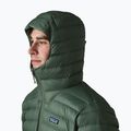 Herren-Daunenjacke Patagonia Down Sweater Hoody treeline green 4