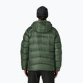 Herren-Daunenjacke Patagonia Fitz Roy Down Hoody canopy green 2