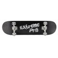 Mechanics Pro-Extreme 31 klassisches Skateboard schwarz Pro-ext