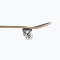Mechanics Pro-Extreme 31 klassisches Skateboard schwarz Pro-ext 6
