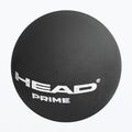 HEAD sq Prime Squash Ball schwarz 287306 2