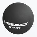 HEAD sq Start Squash Ball schwarz 287346 2